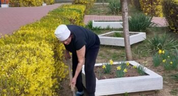 20260324_131921 20260324_131921