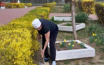 20260324_131921 20260324_131921